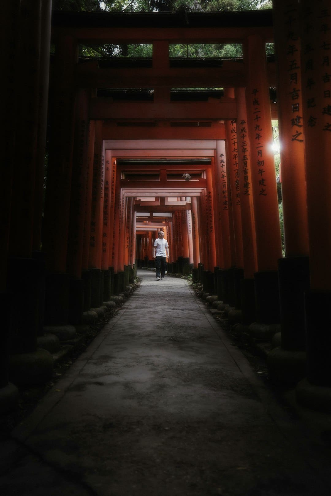 电影《凤鸣鹤唳》：不忘初心以工匠精力匠助力深圳电影